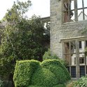 Buis Topiaires Nymans